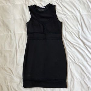 Pitaya Mesh Little Black Dress